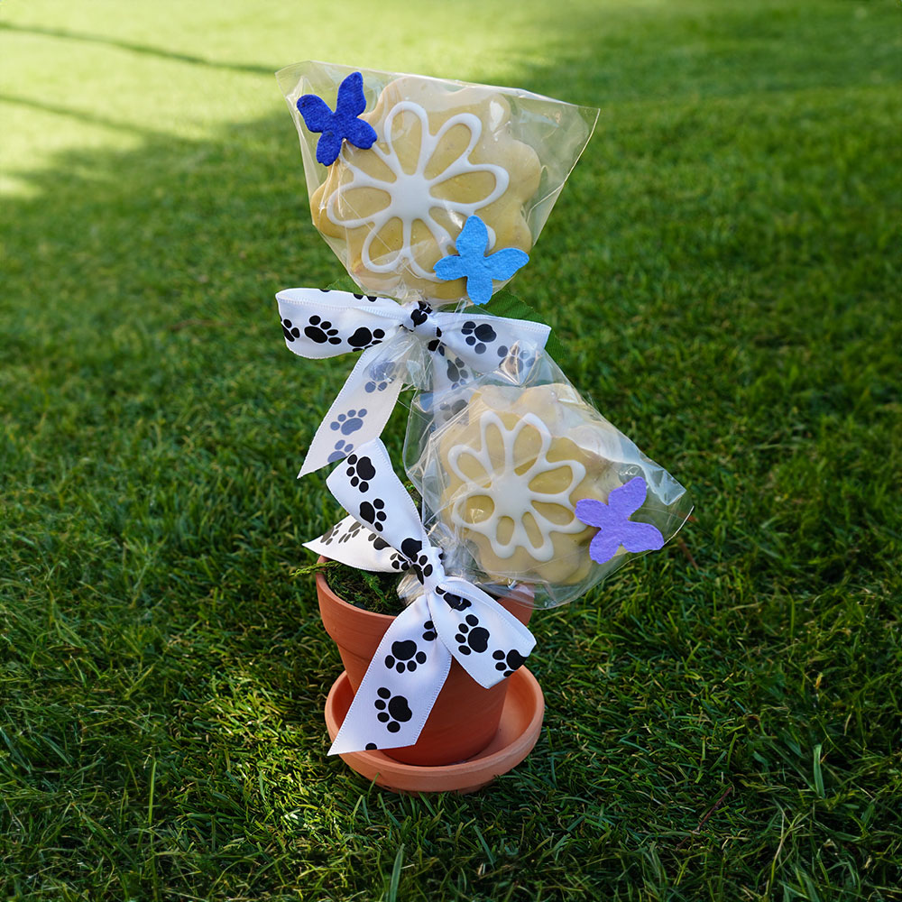 Spring Flower Pot Crazy Grandma Treats 