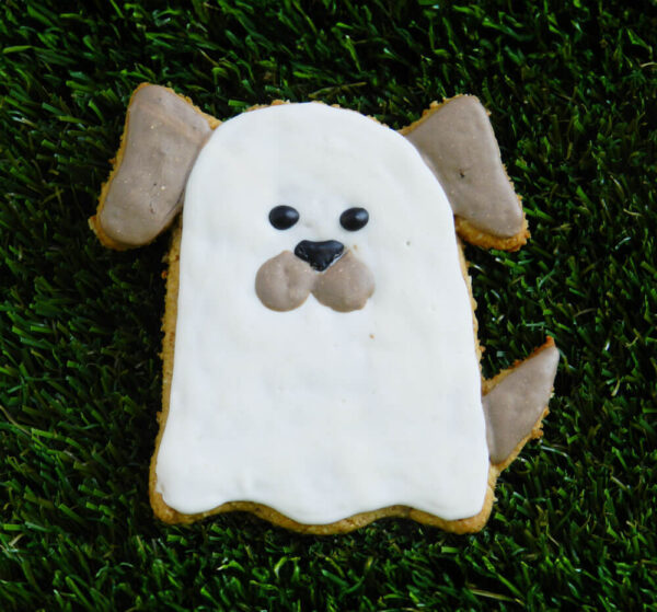 Dog Ghost